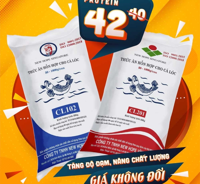 tangdodam1